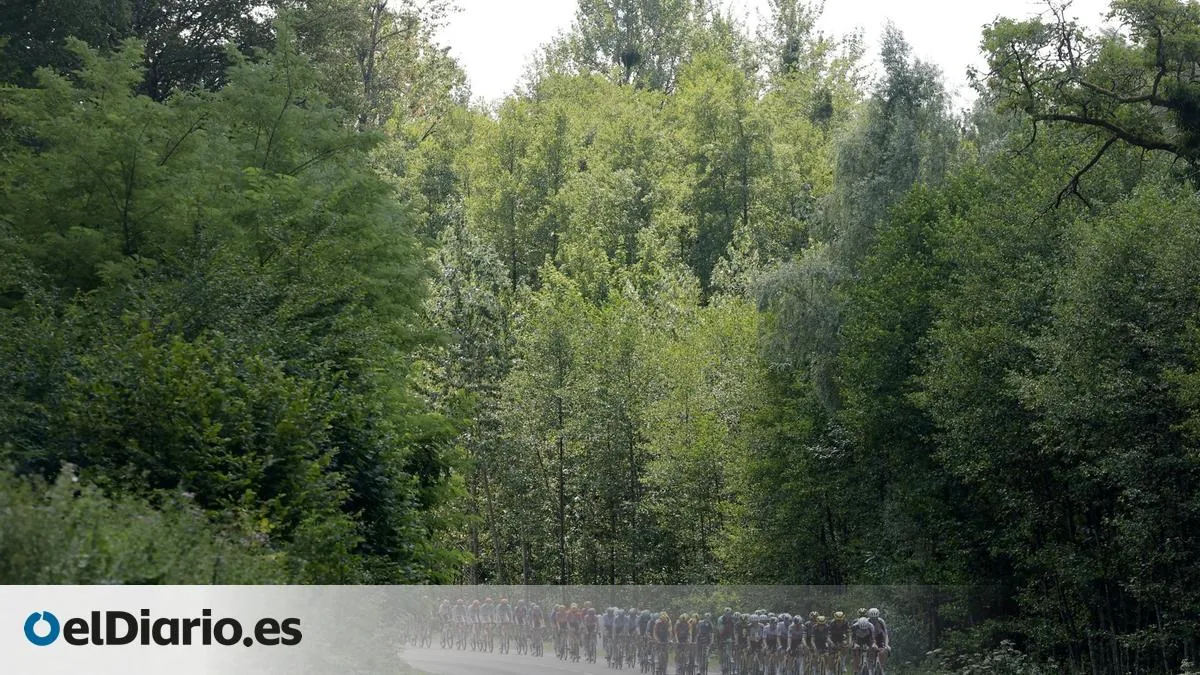Tour de Francia 2026 hoy, etapa 14: horario, perfil y recorrido - Diario AS